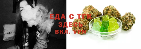 дурь Инта