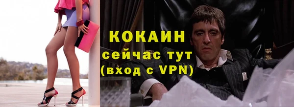 дурь Инта