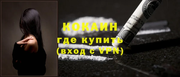 дурь Инта