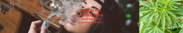 дурь Инта