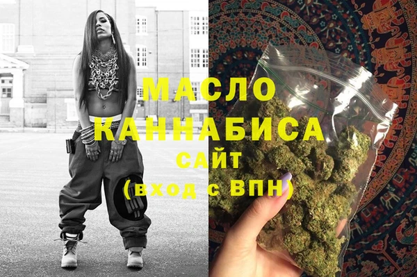 дурь Инта