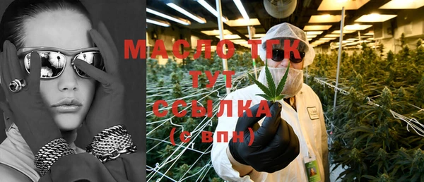 дурь Инта
