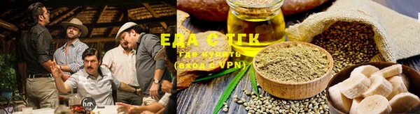 дурь Инта