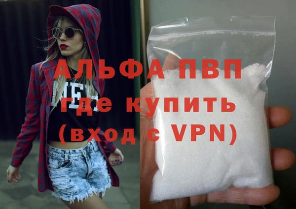 дурь Инта